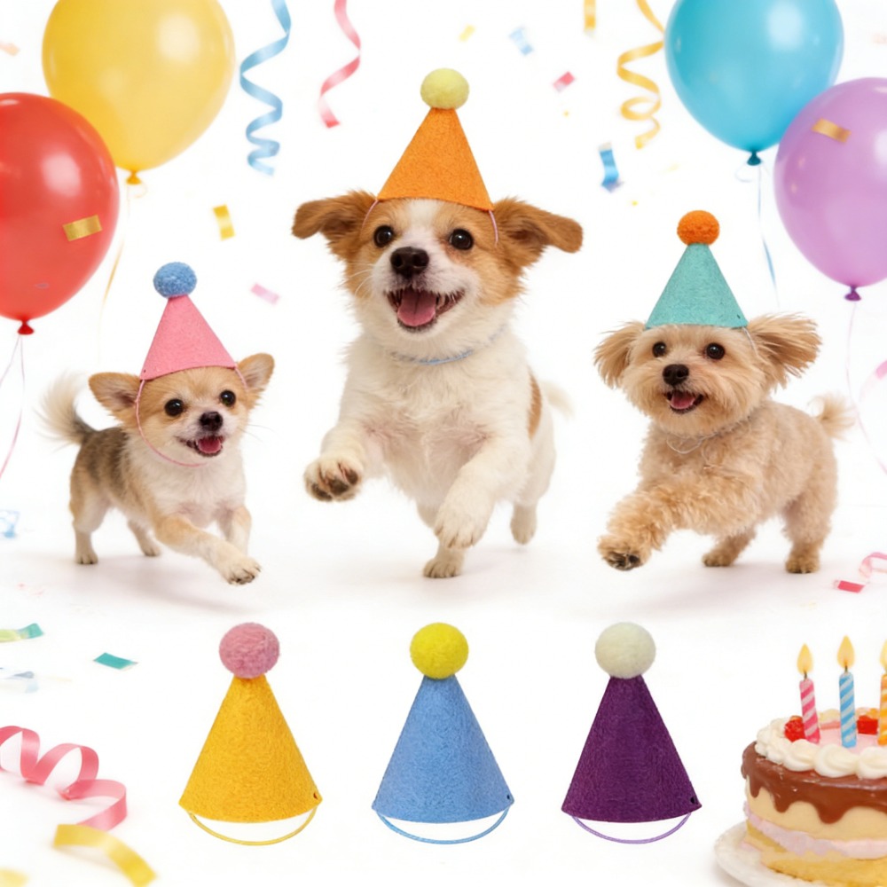 3/6個入りペットパーティーハット カラフルミニパーティーハ - Party Hat Cone のレビューと価格